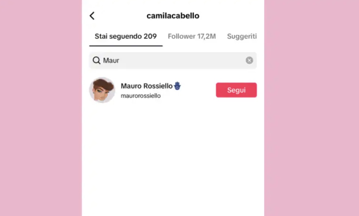 Camila Cabello segue Mauro Rossiello su TikTok: 